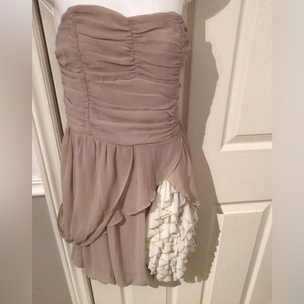 TCEC Beige and Cream Strapless Dress